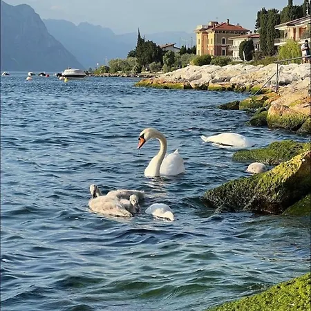 Torre - Atmosfera Romantica Гостевой дом Бренцоне-суль-Гарда