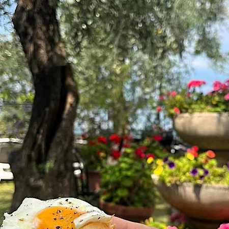 Torre - Atmosfera Romantica Гостевой дом 4*